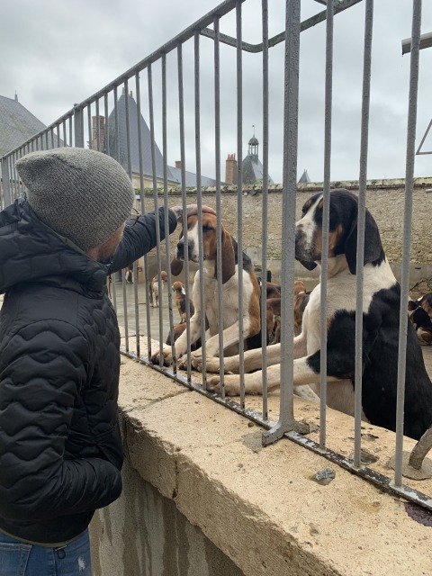 IMG_0110-e1543950274199